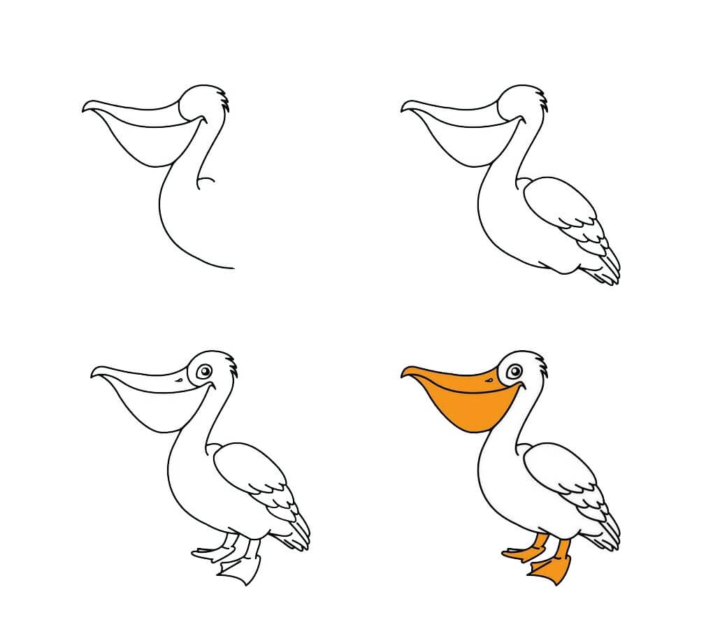 How to draw pelican idea (17)