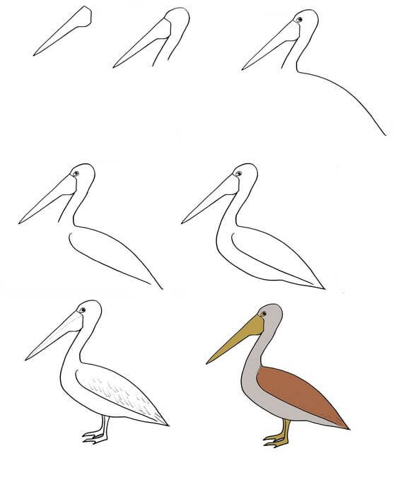 How to draw pelican idea (2)