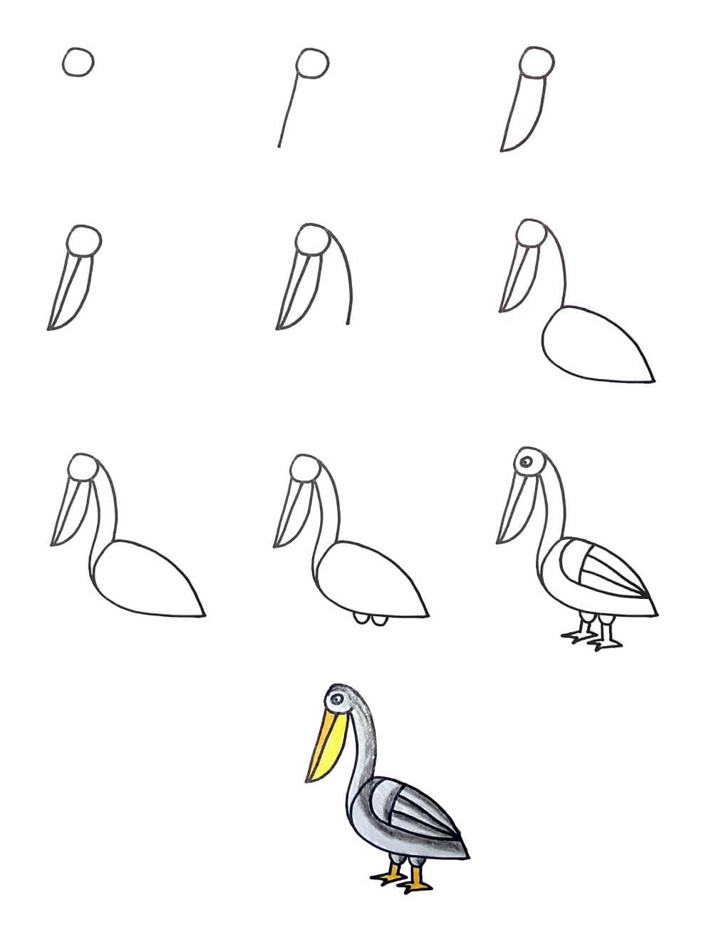 pelican idea (3) Drawing Ideas