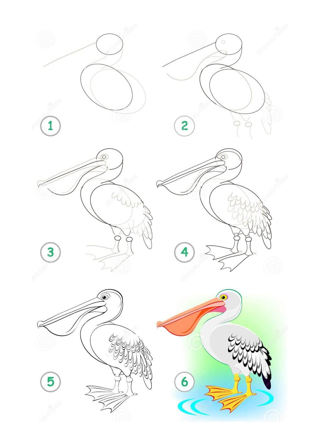 How to draw pelican idea (4)