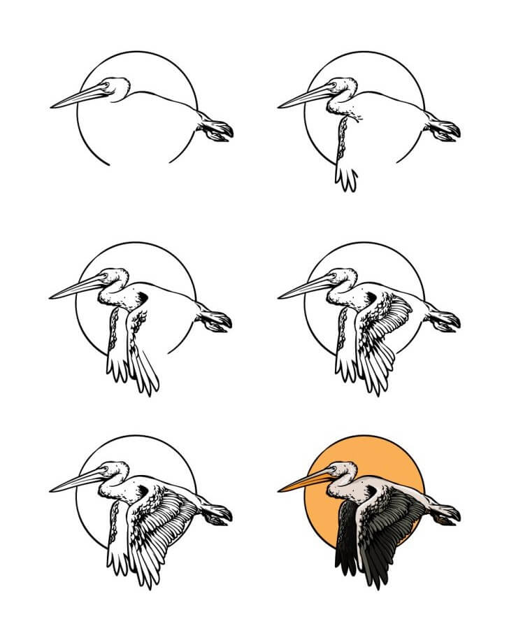 How to draw pelican idea (5)