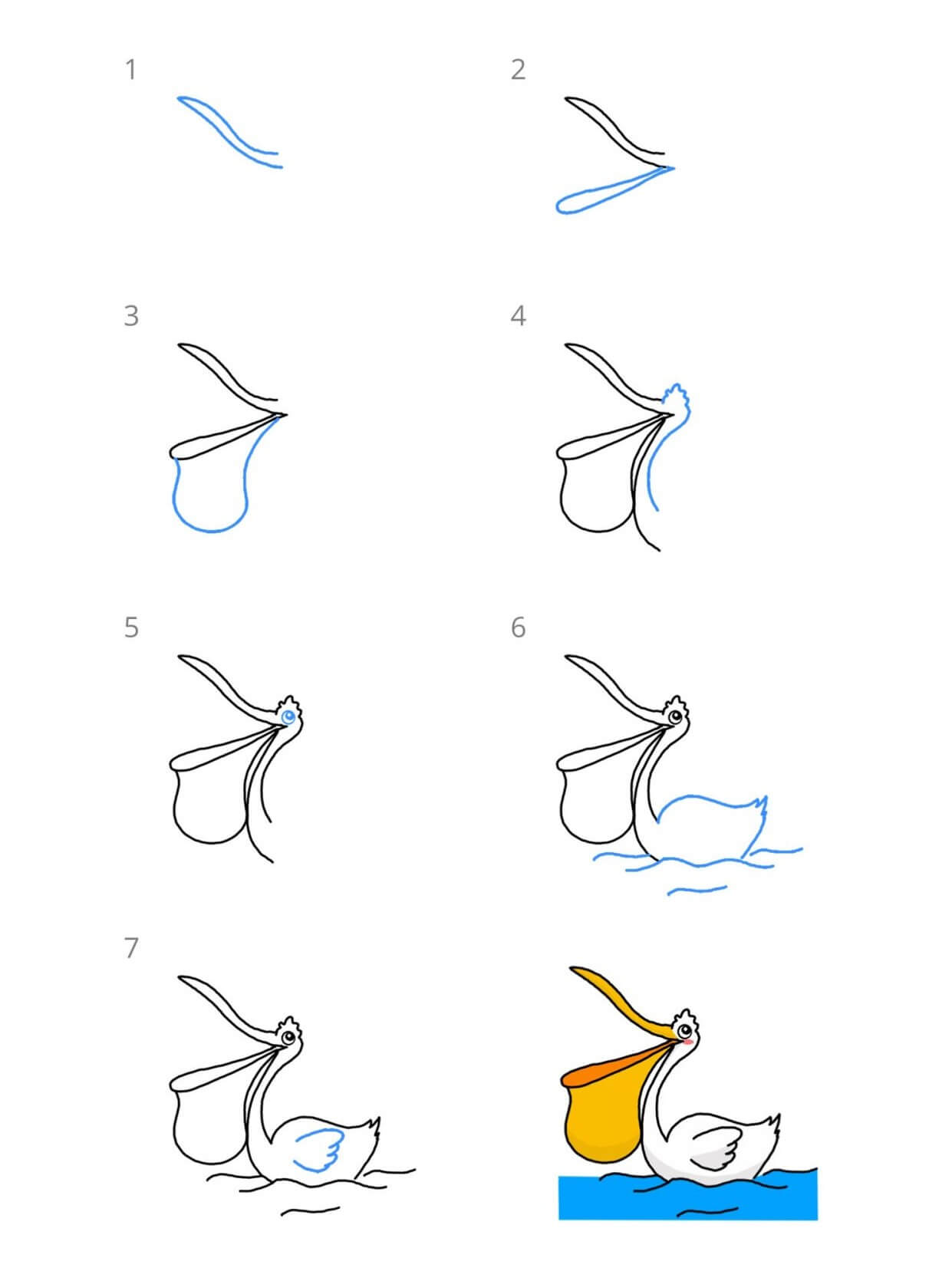 How to draw pelican idea (6)