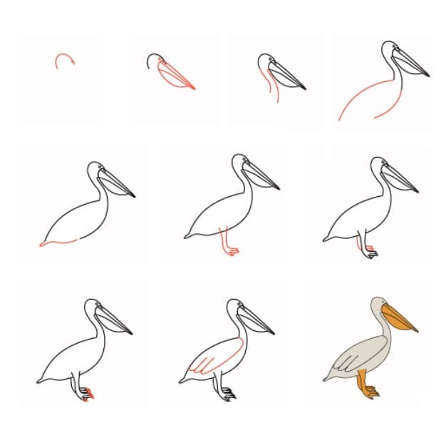 How to draw pelican idea (7)