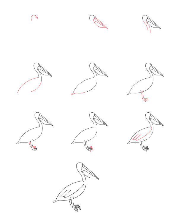 Pelican simple Drawing Ideas