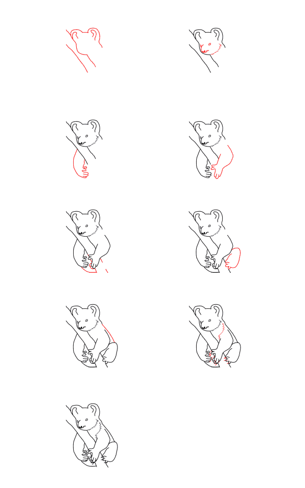 How to draw Realistic koala