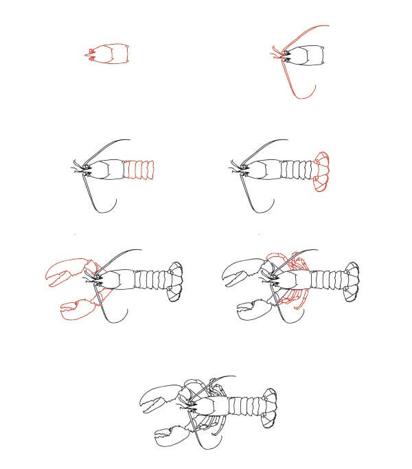 Realistic Lobster Drawing Ideas