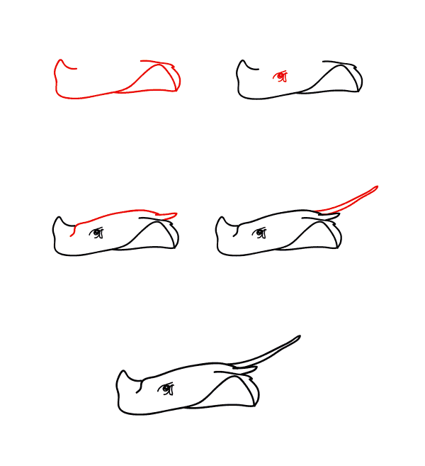 Realistic Manta ray Drawing Ideas