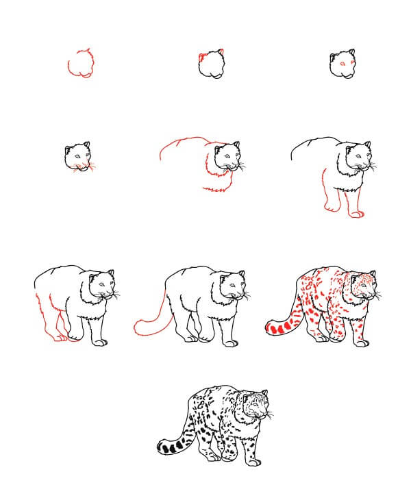 How to draw Realistic Snow Leopard