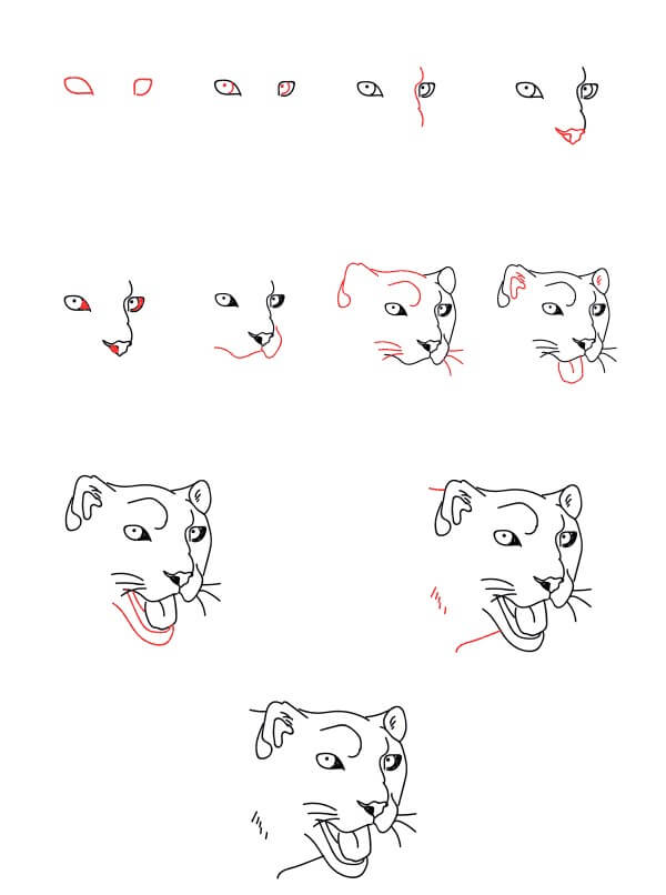 How to draw Snow Leopard head