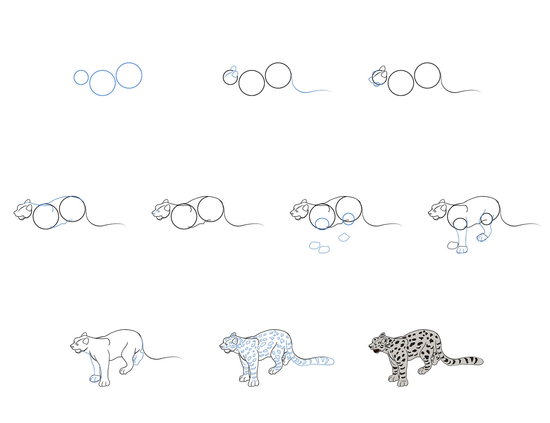 How to draw Snow Leopard idea (1)