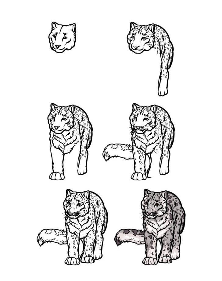 How to draw Snow Leopard idea (12)