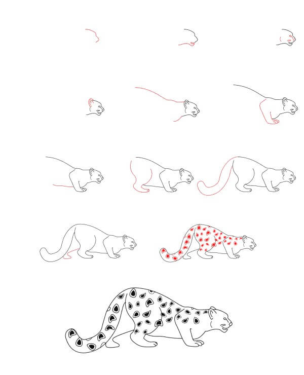 How to draw Snow Leopard idea (13)