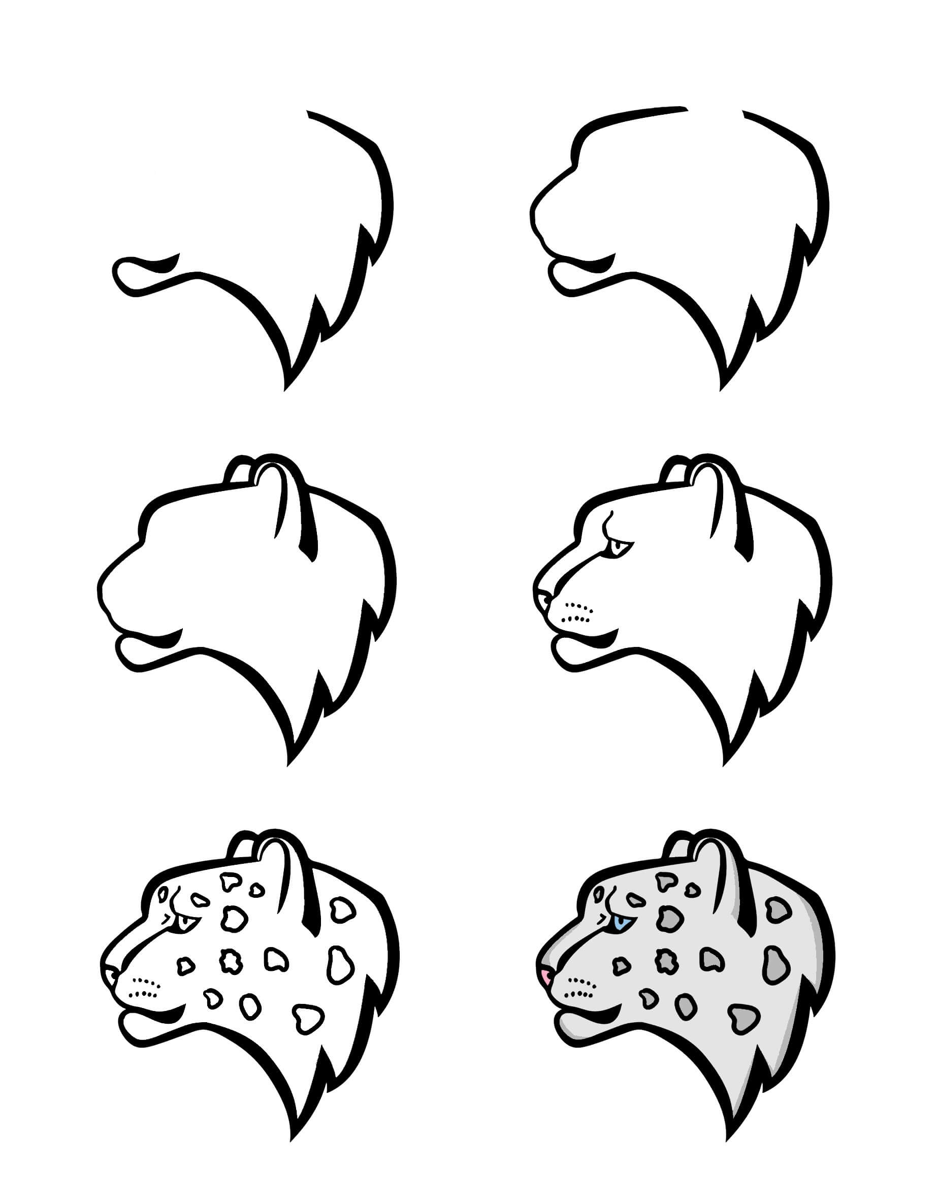 Snow Leopard idea (7) Drawing Ideas