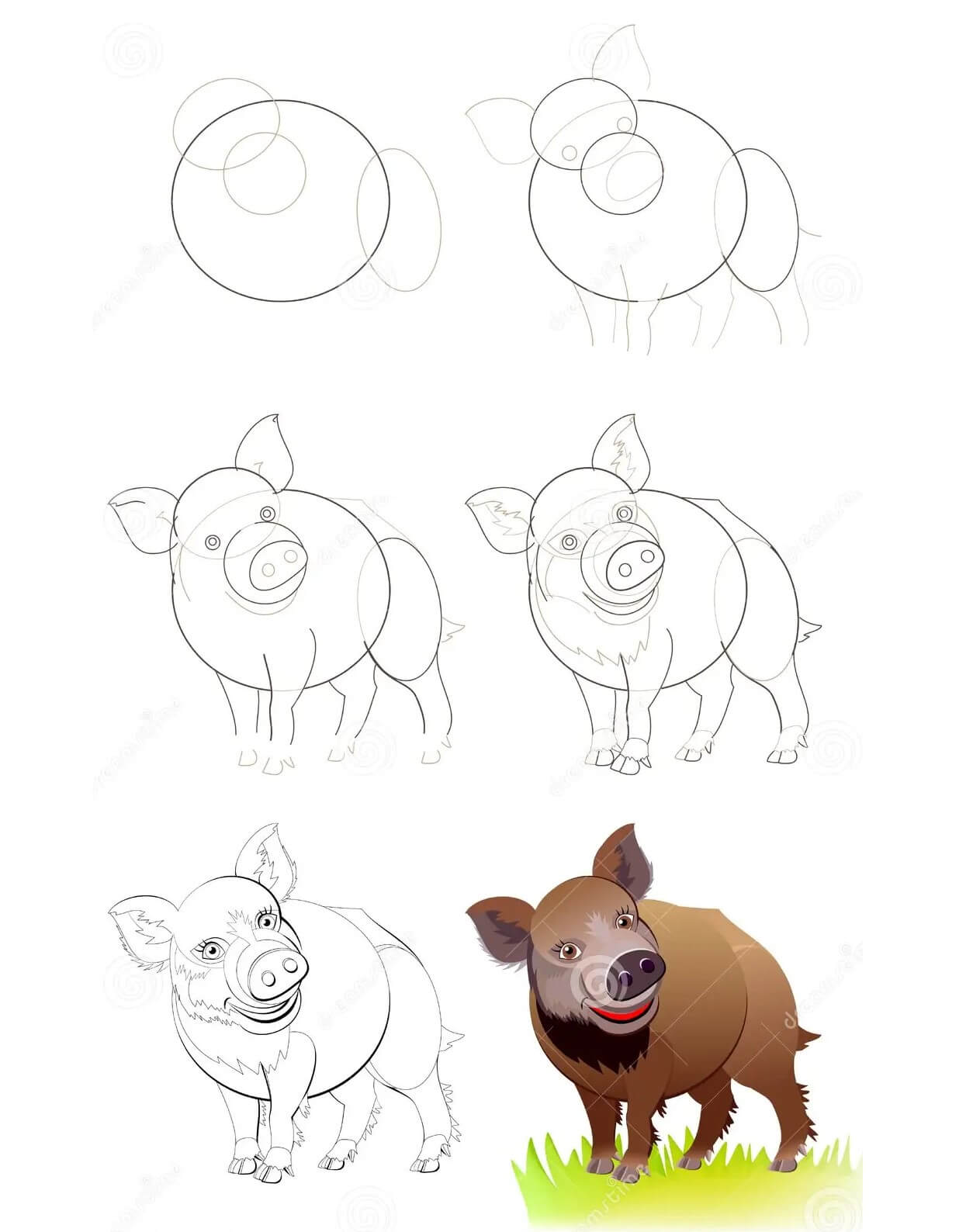 How to draw Wild boar (2)