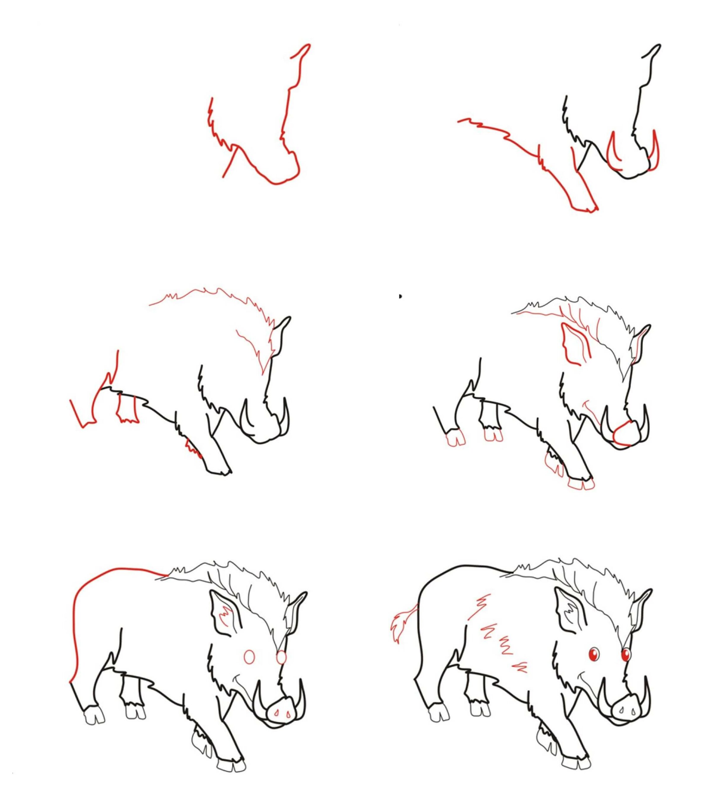 How to draw Wild boar (6)