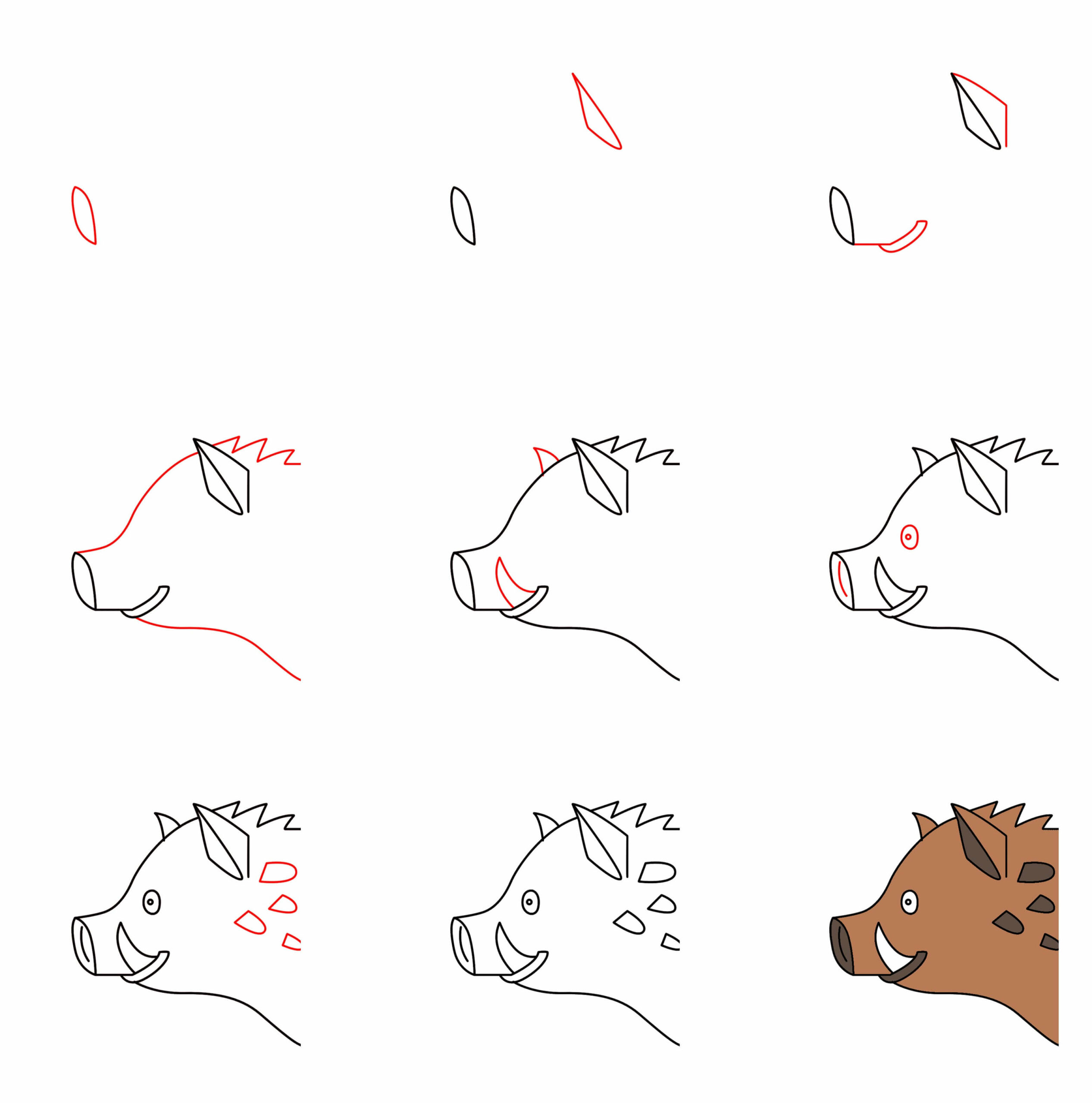 How to draw Wild boar (7)