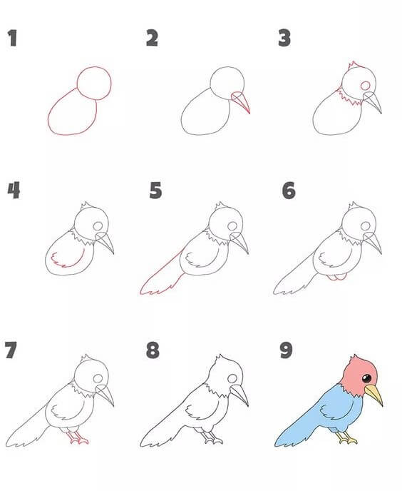 How to draw Woodpecker idea (1)