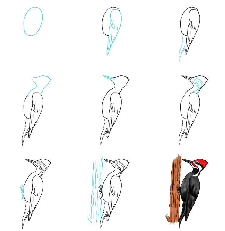 Woodpecker idea (10) Drawing Ideas