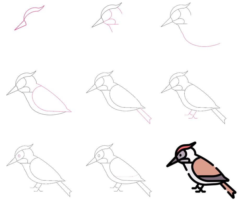 How to draw Woodpecker idea (11)