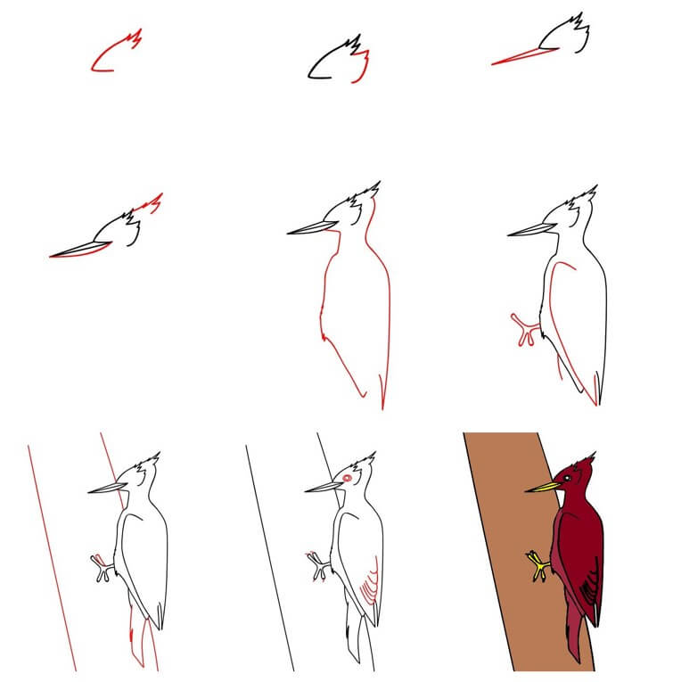 Woodpecker idea (12) Drawing Ideas