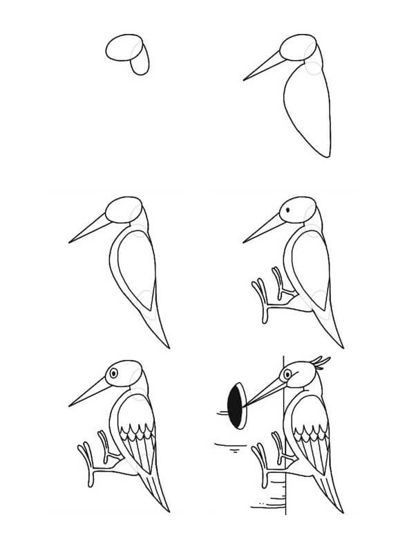 How to draw Woodpecker idea (2)