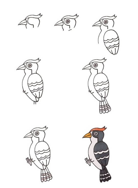 How to draw Woodpecker idea (3)