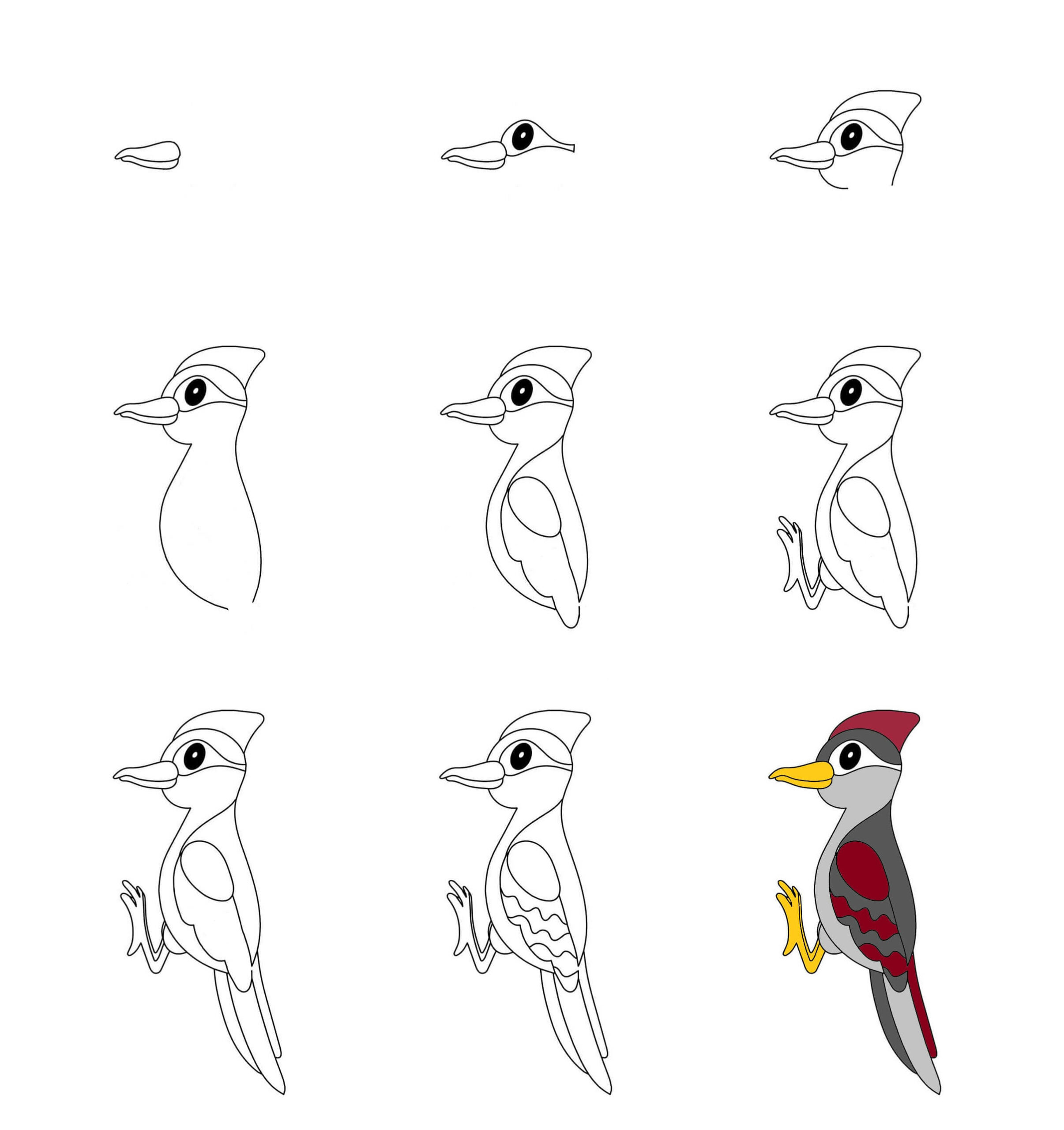 How to draw Woodpecker idea (5)