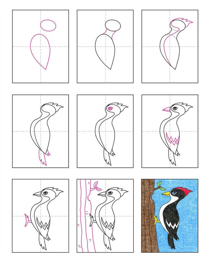 Woodpecker idea (6) Drawing Ideas