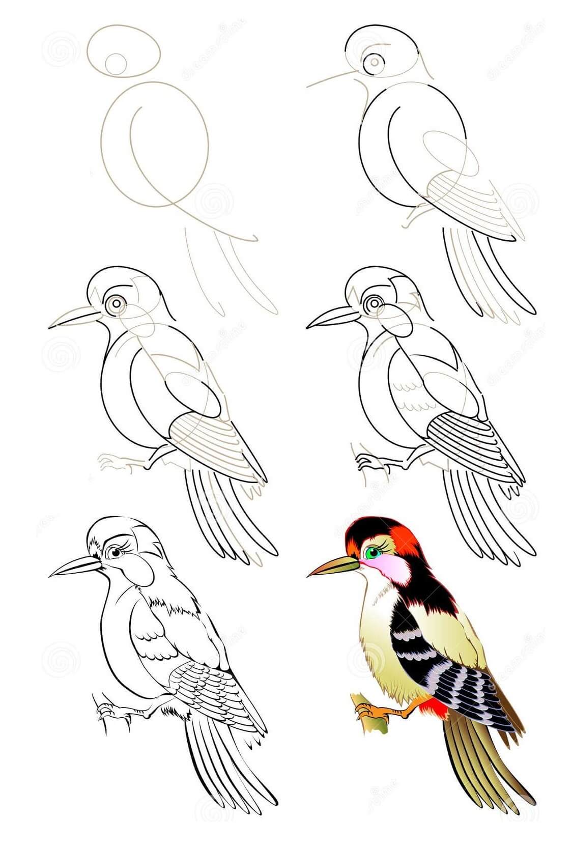 Woodpecker idea (8) Drawing Ideas