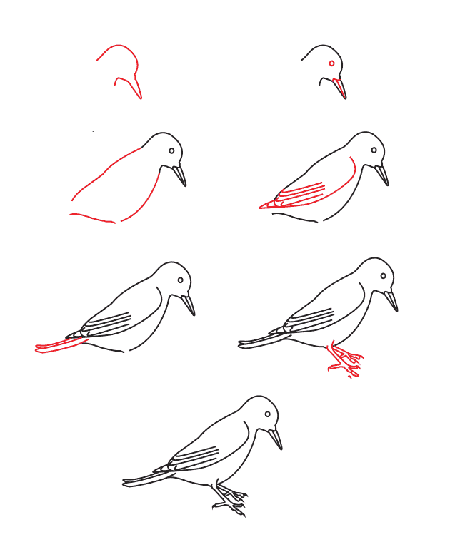 Woodpecker simple Drawing Ideas