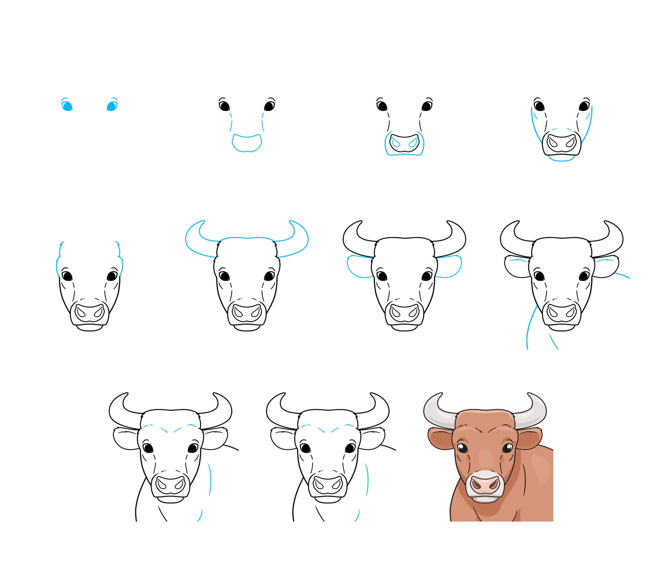 Bull idea (6) Drawing Ideas