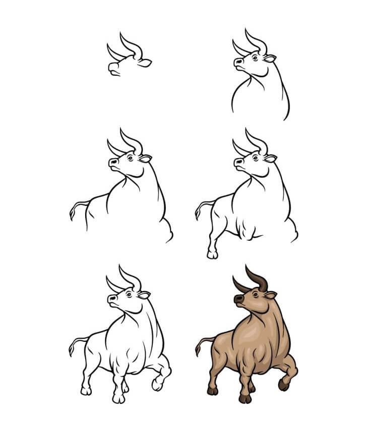 Bull idea (7) Drawing Ideas