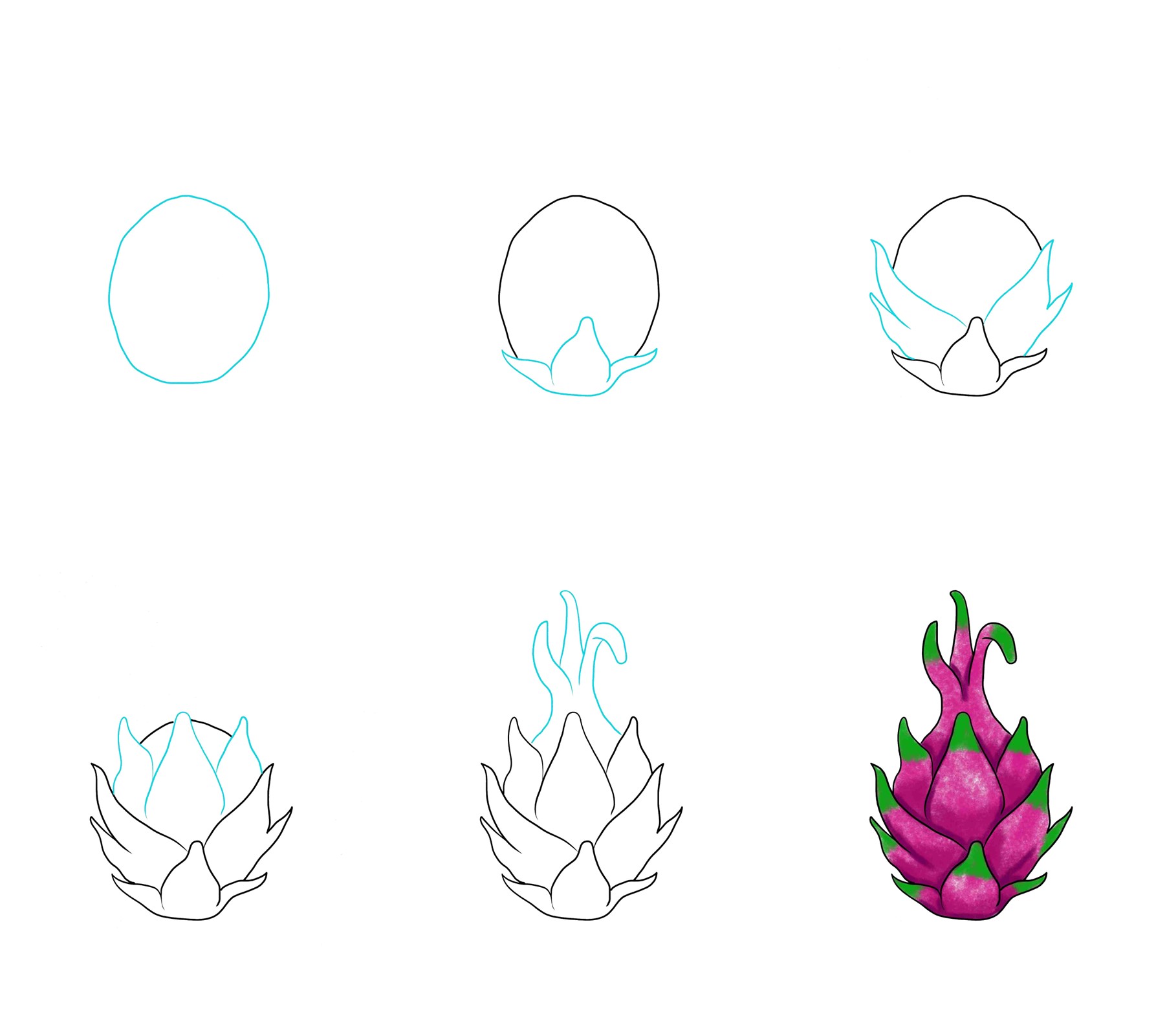 Dragon fruit idea (5) Drawing Ideas