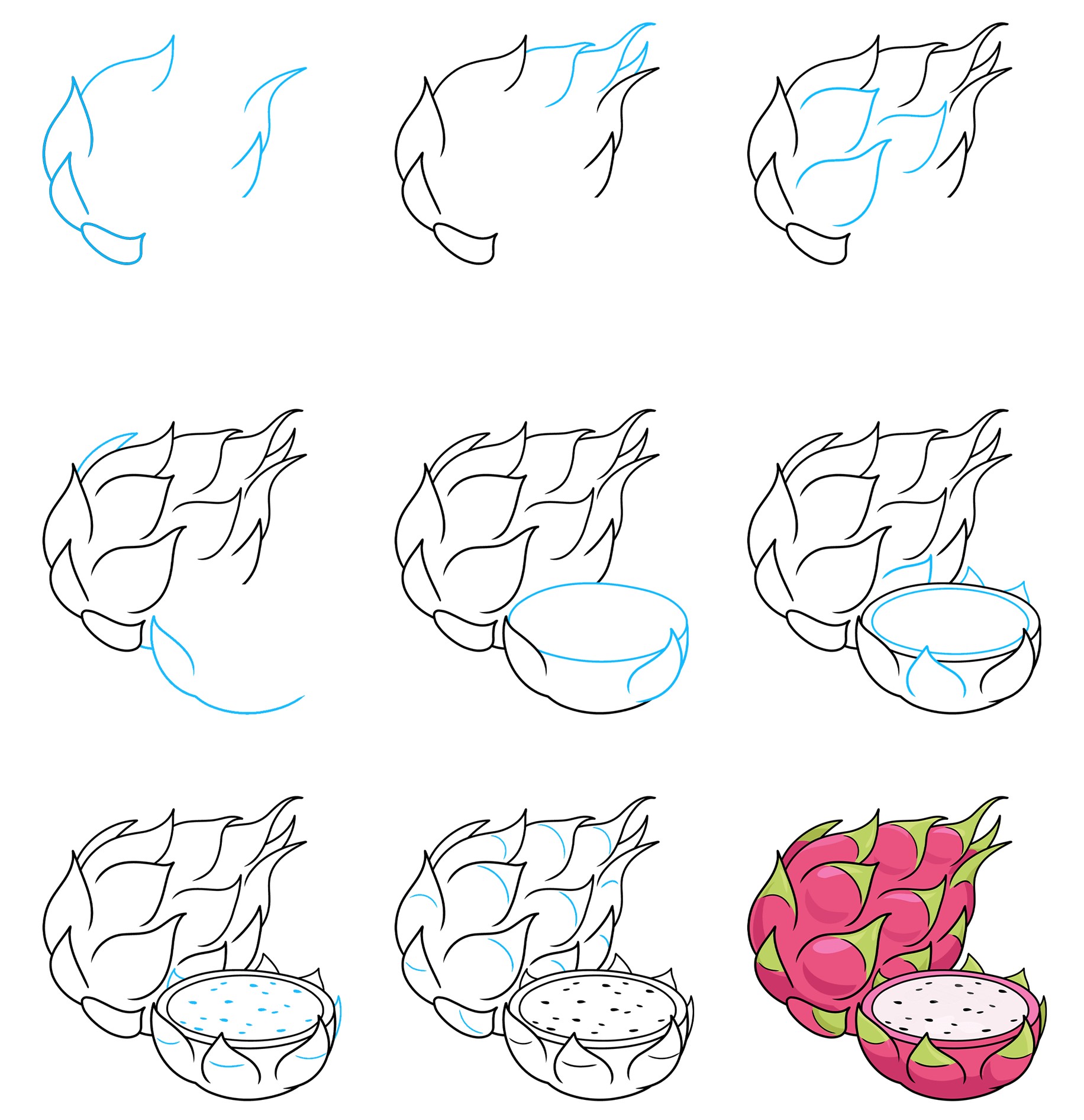 Dragon fruit Drawing Ideas