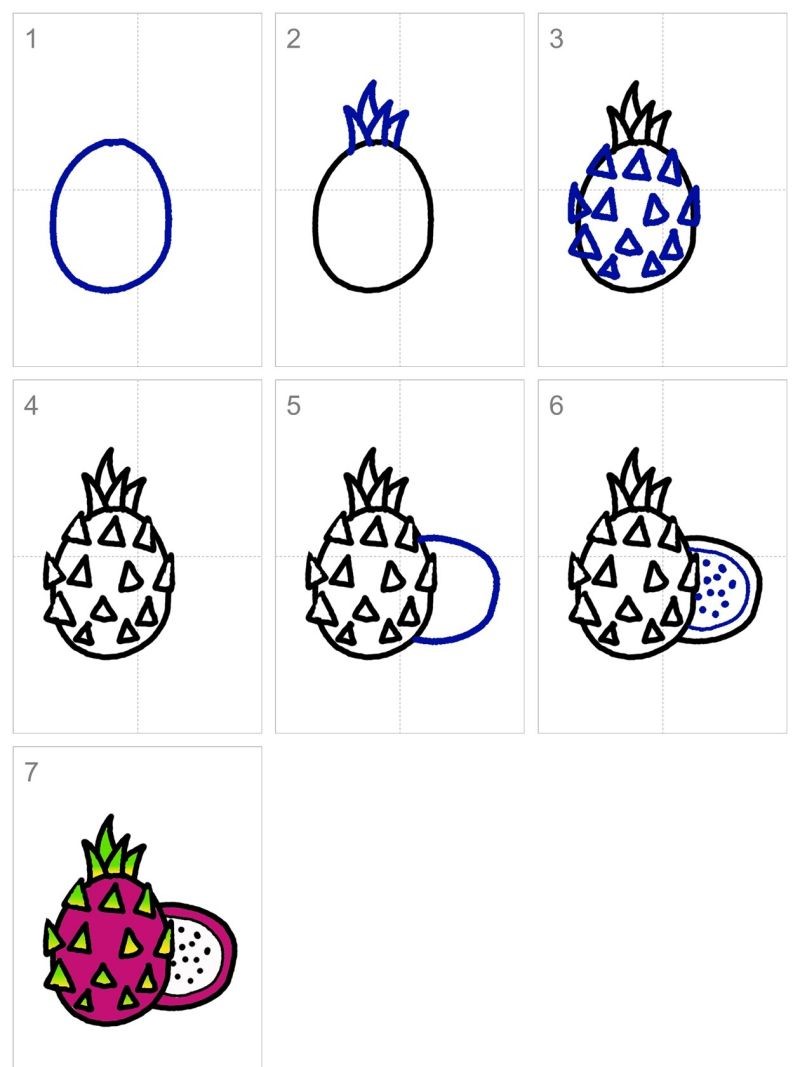 Dragon fruit idea (9) Drawing Ideas