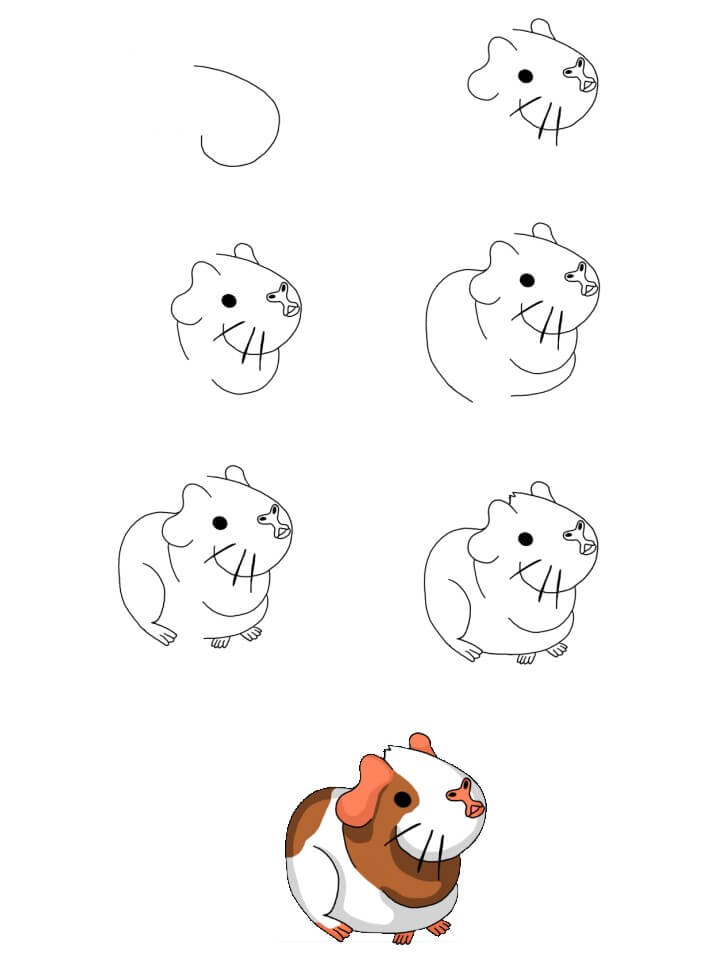 Guinea pig idea (1) Drawing Ideas