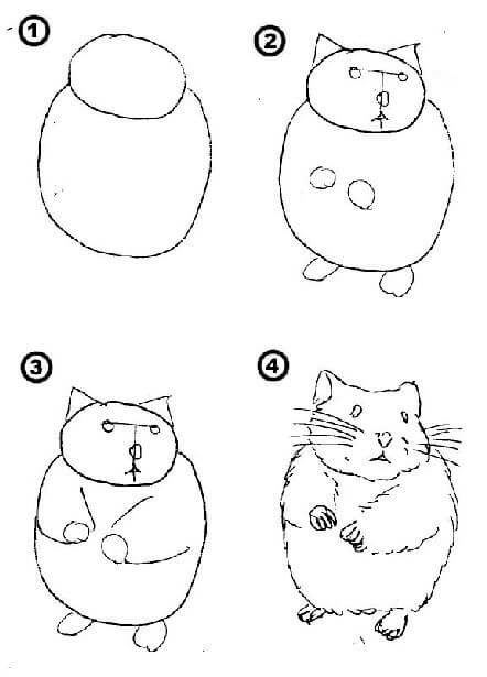 Guinea pig idea (11) Drawing Ideas