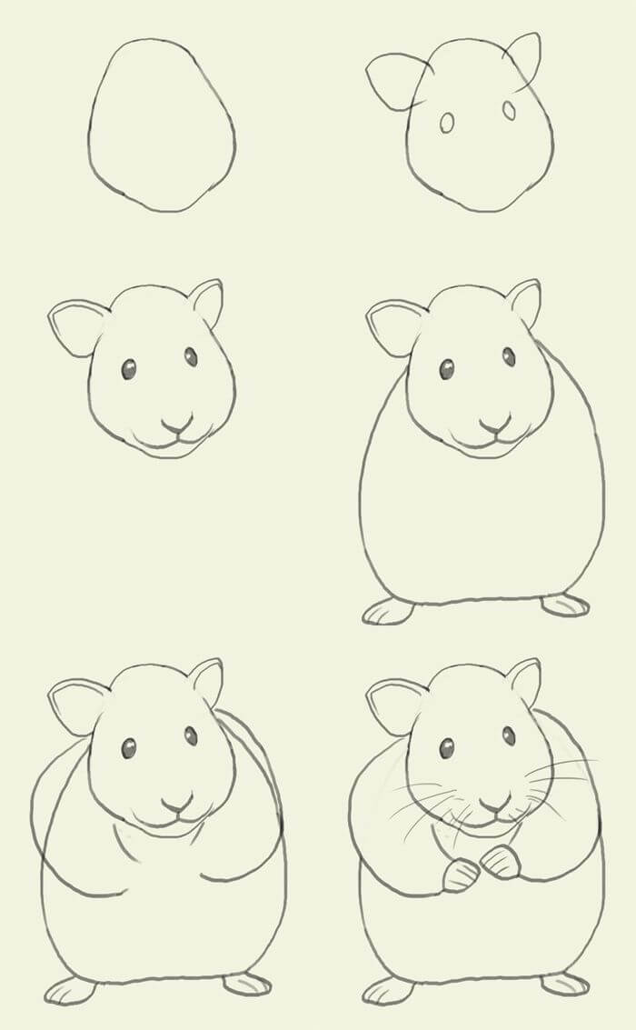 Guinea pig idea (12) Drawing Ideas