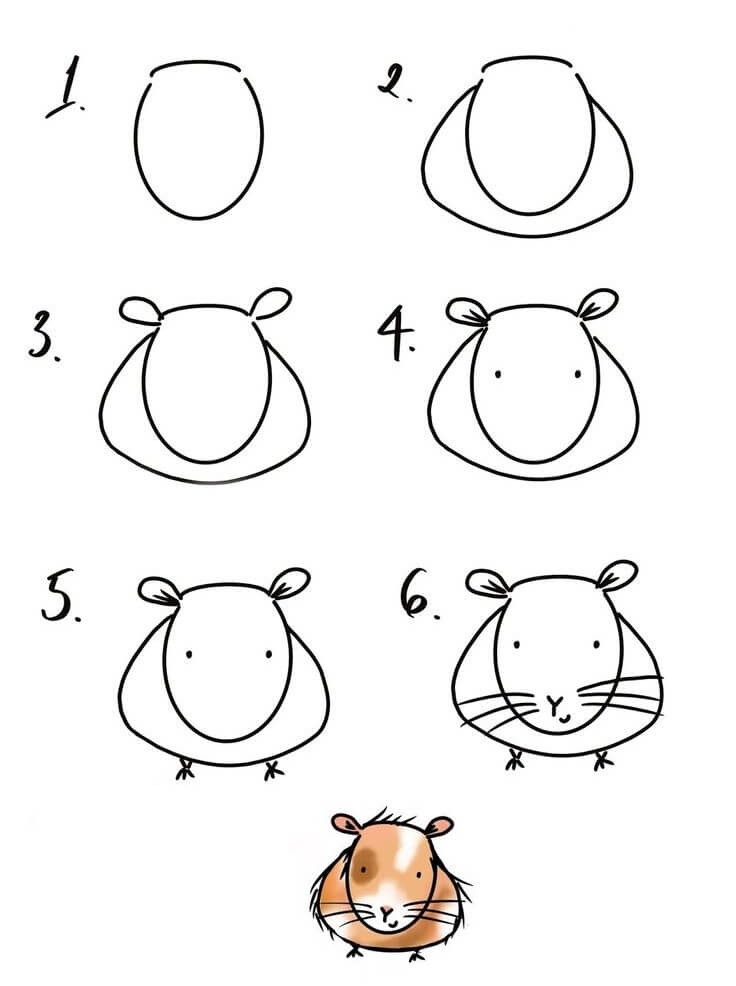 Guinea pig idea (14) Drawing Ideas