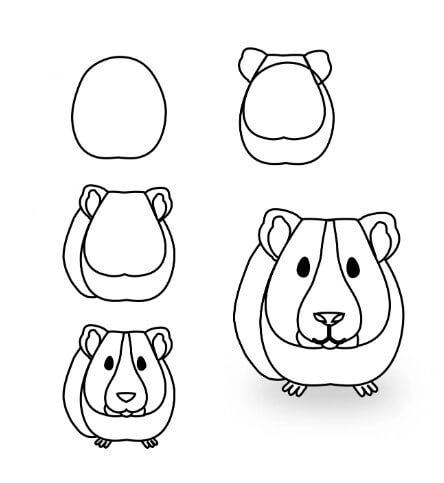 Guinea pig idea (16) Drawing Ideas