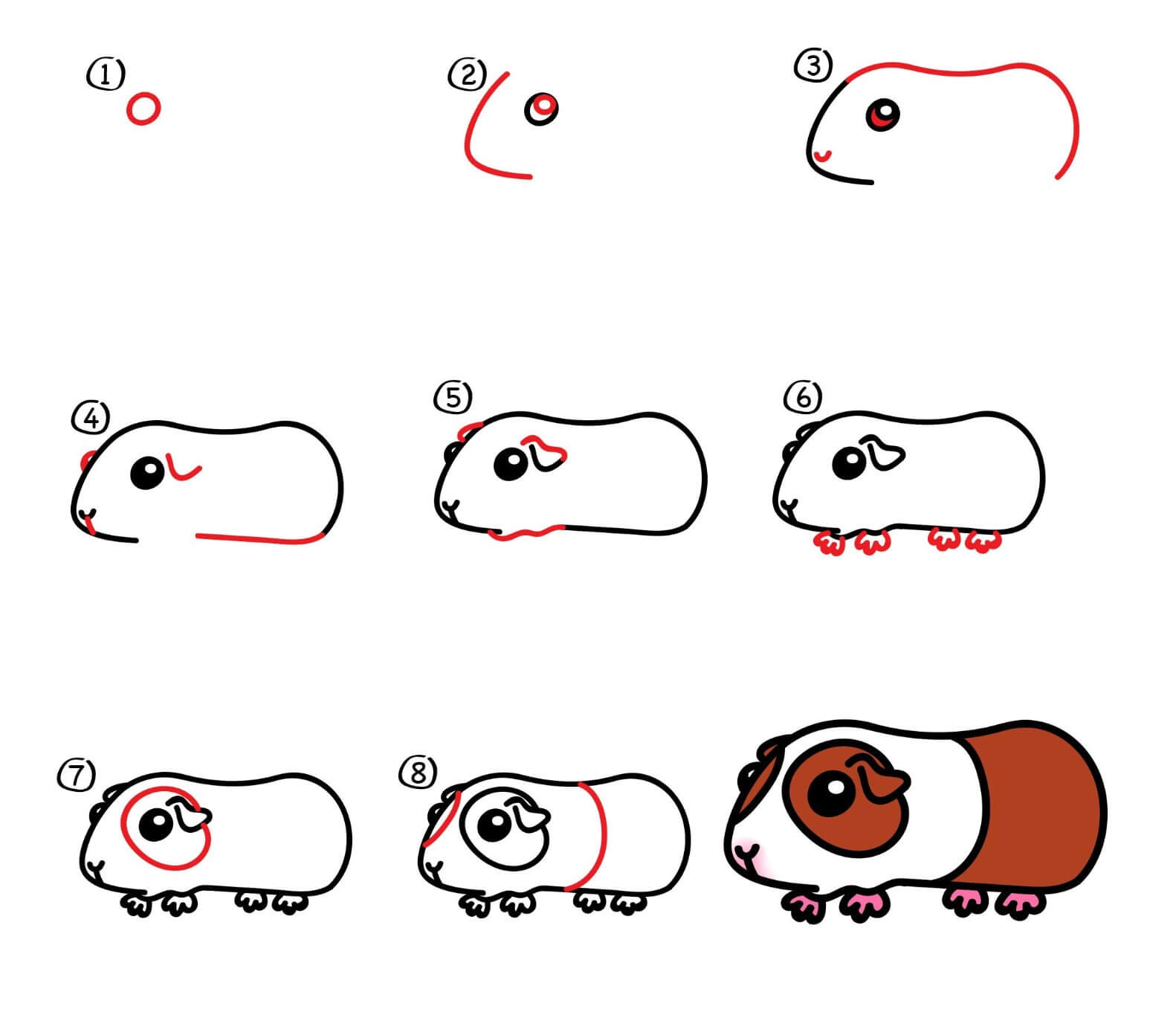 Guinea pig Drawing Ideas