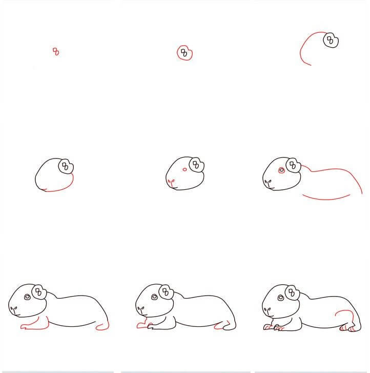 Guinea pig idea (5) Drawing Ideas