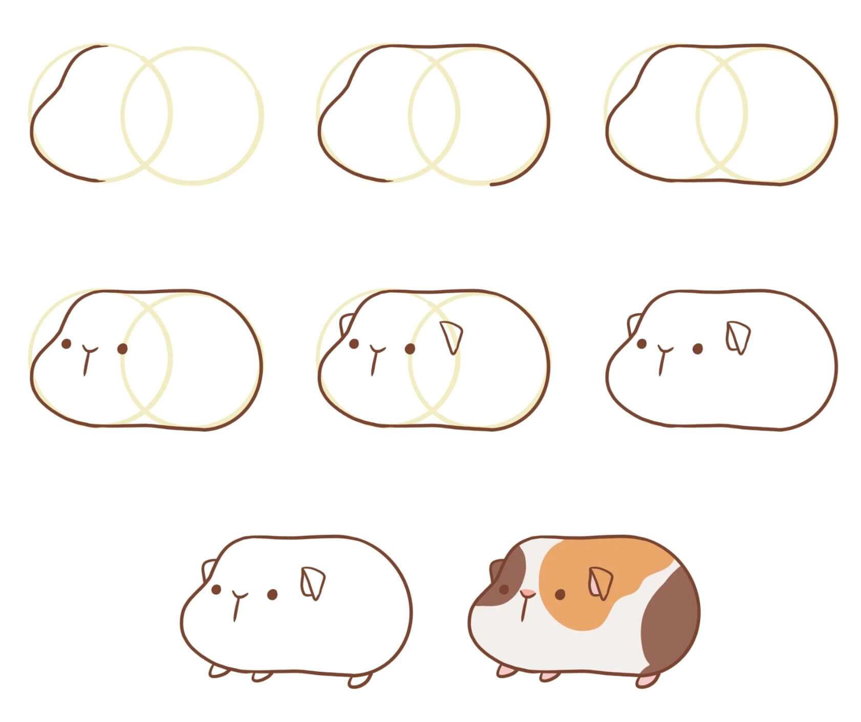 Guinea pig idea (6) Drawing Ideas