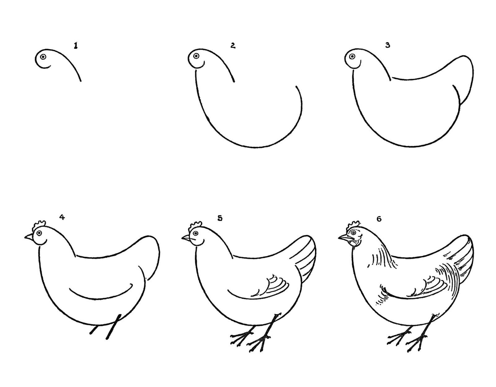 Hen idea (12) Drawing Ideas