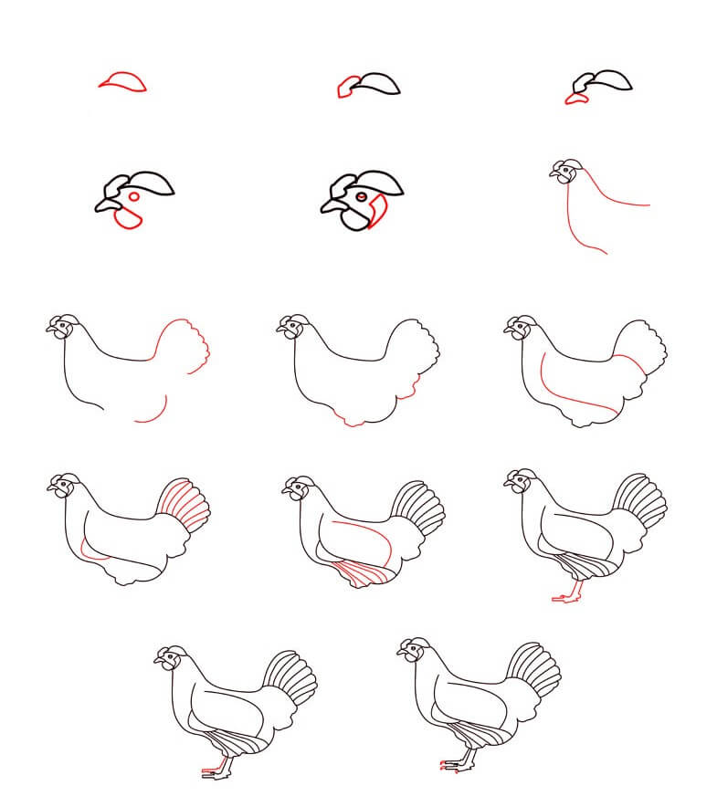 Hen idea (8) Drawing Ideas