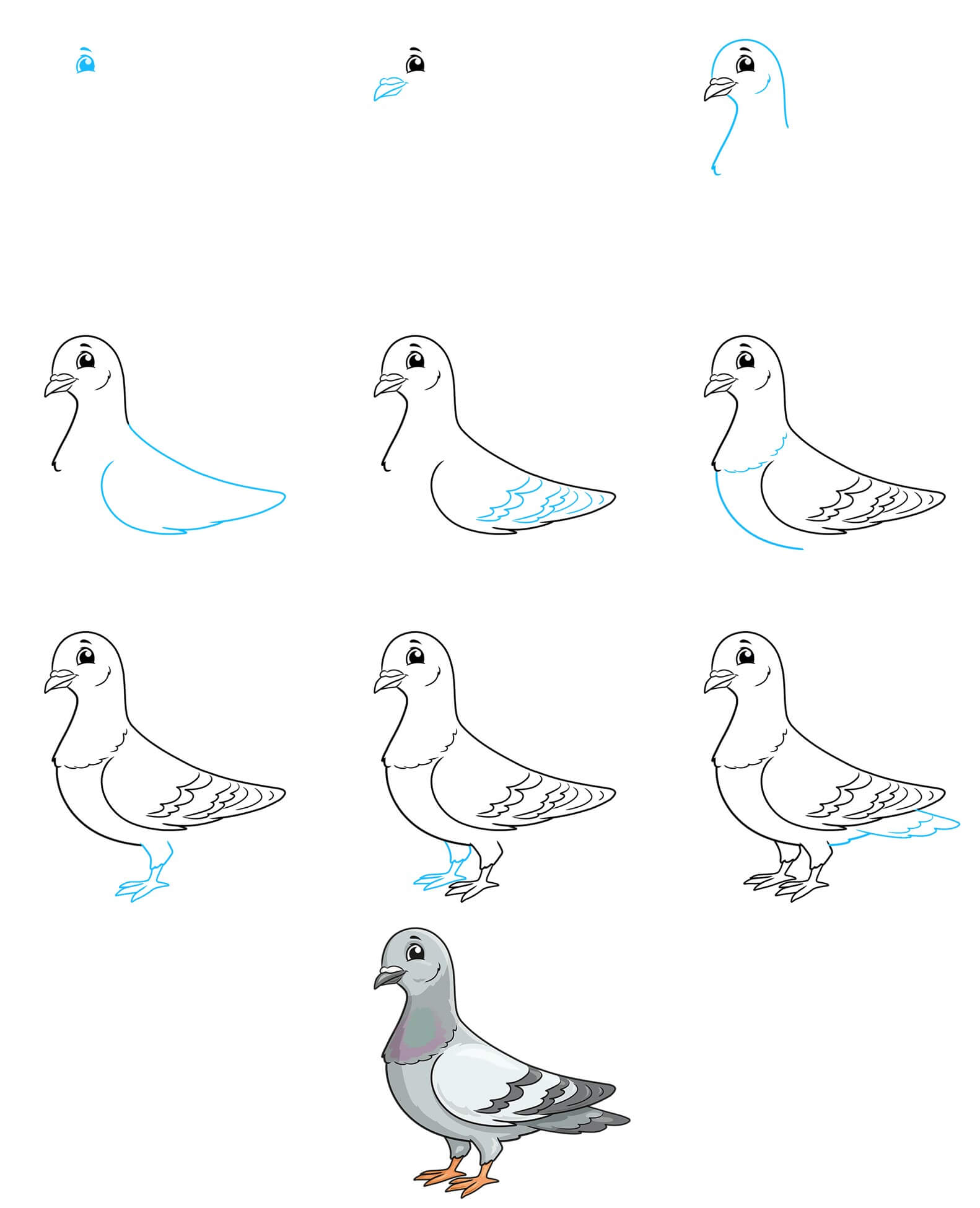 Pigeon idea (1) Drawing Ideas