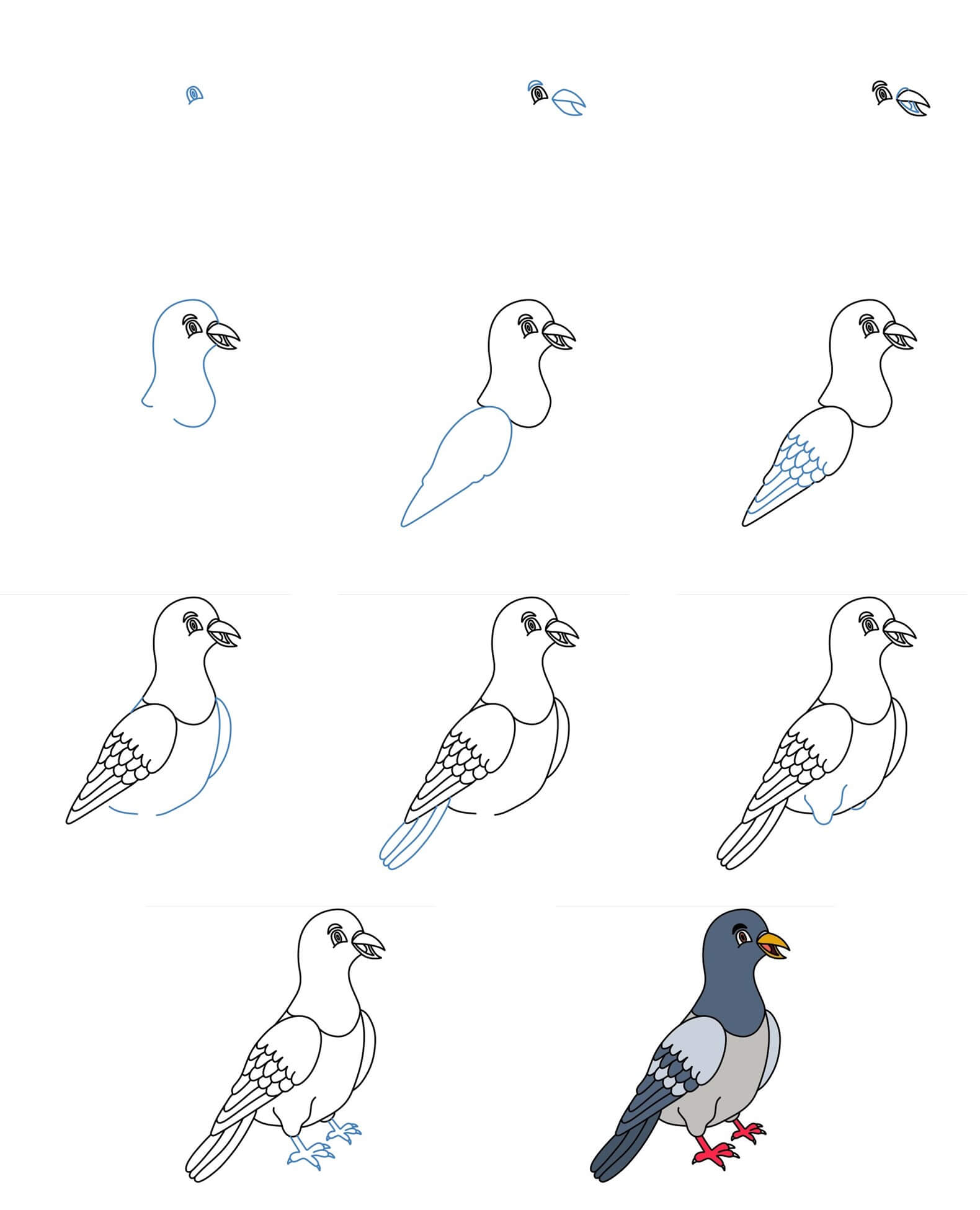 Pigeon idea (10) Drawing Ideas