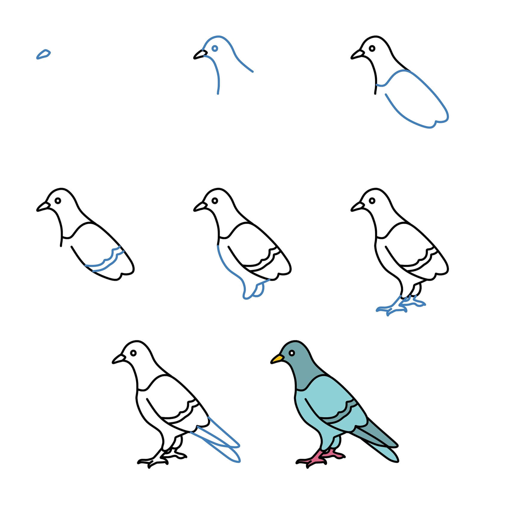 Pigeon idea (11) Drawing Ideas