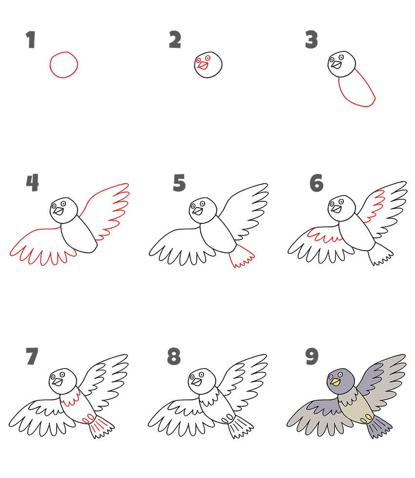 Pigeon idea (13) Drawing Ideas