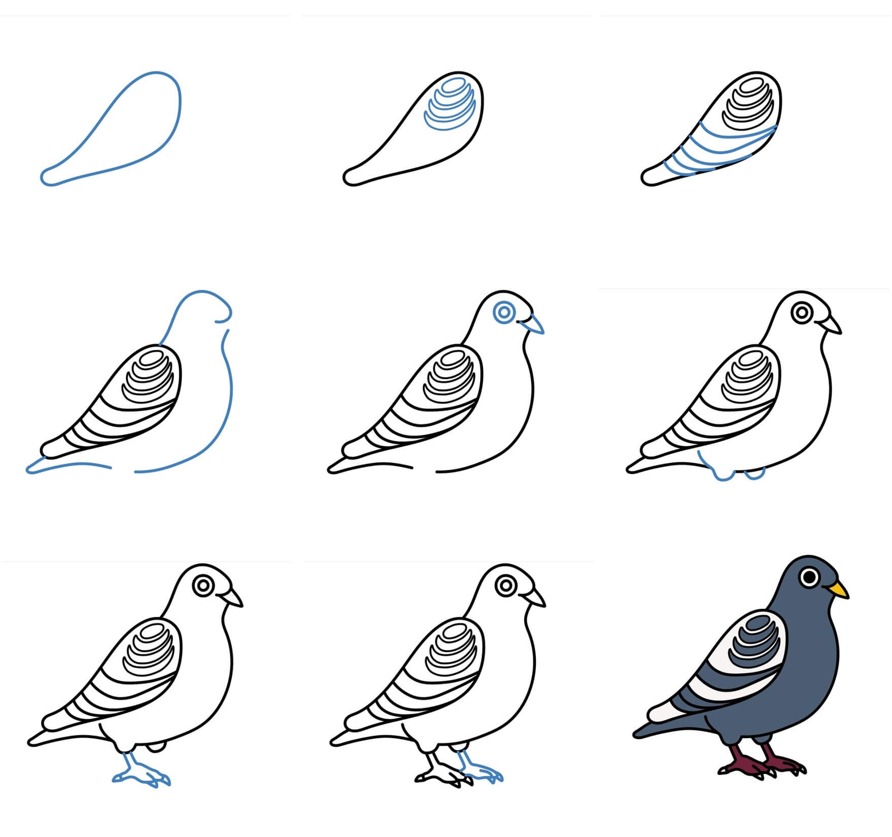 Pigeon Drawing Ideas